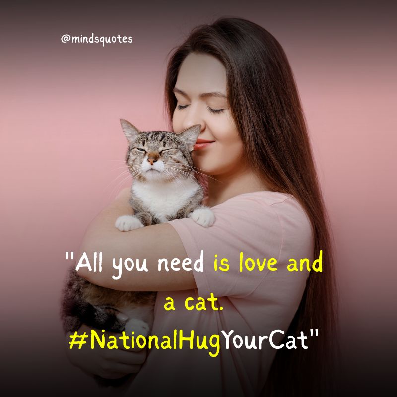 National Hug Your Cat Day Captions 