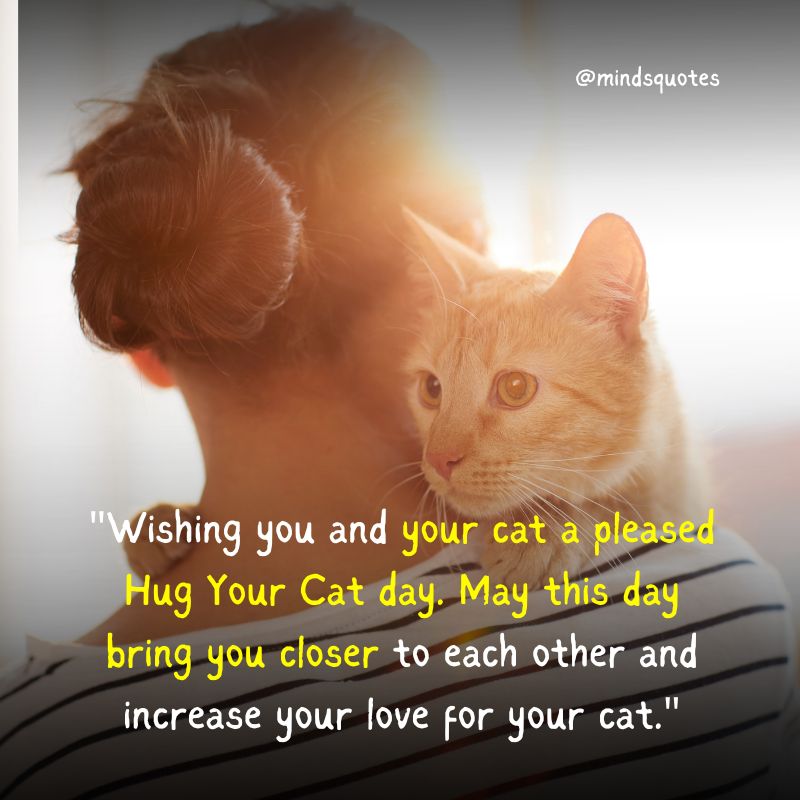 National Hug Your Cat Day Wishes
