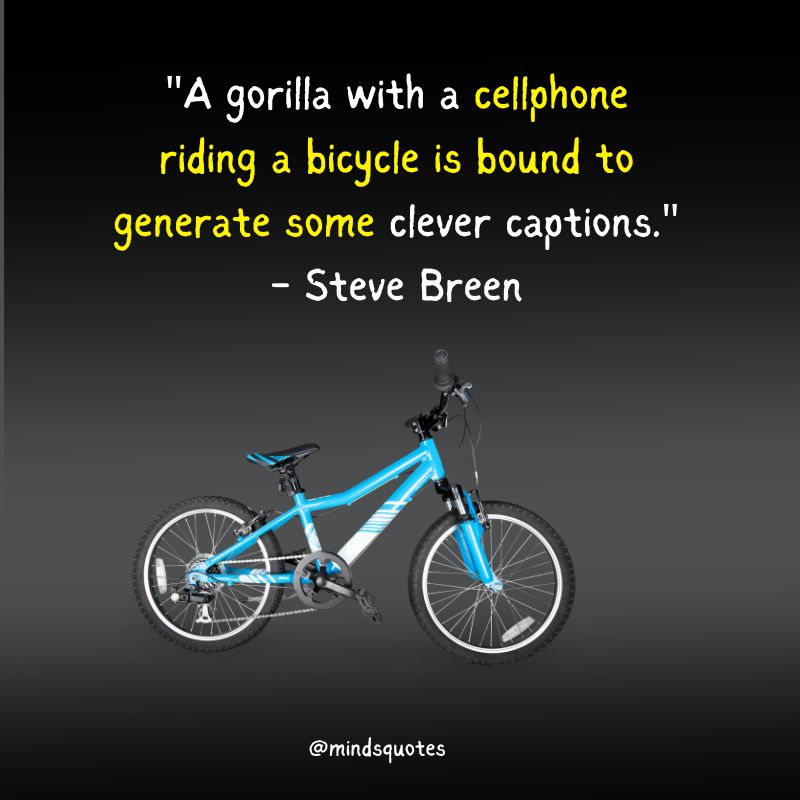World Bicycle Day Quotes