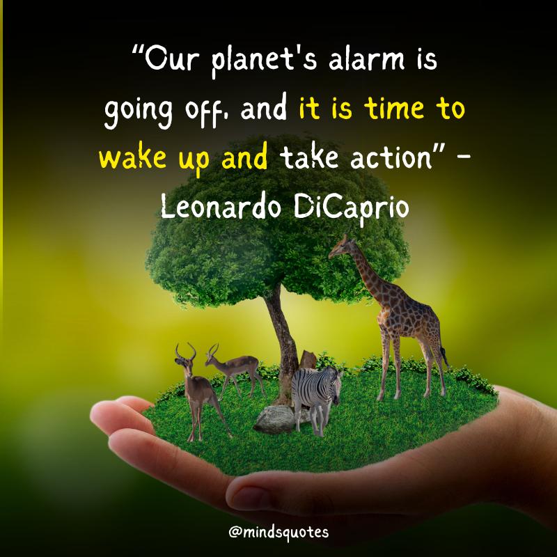 World Environment Day Quotes 