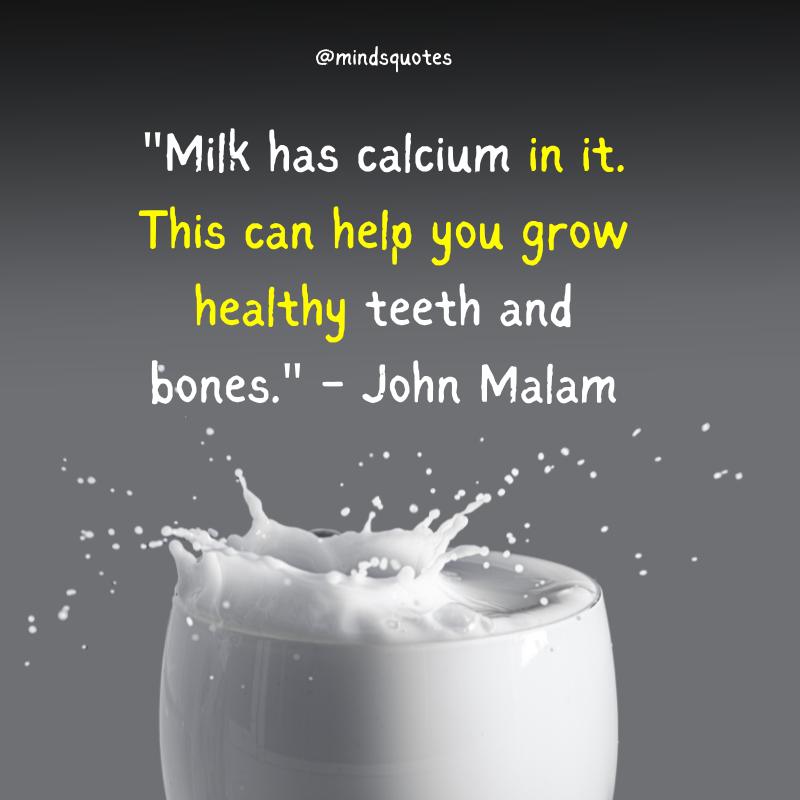 World Milk Day Quotes