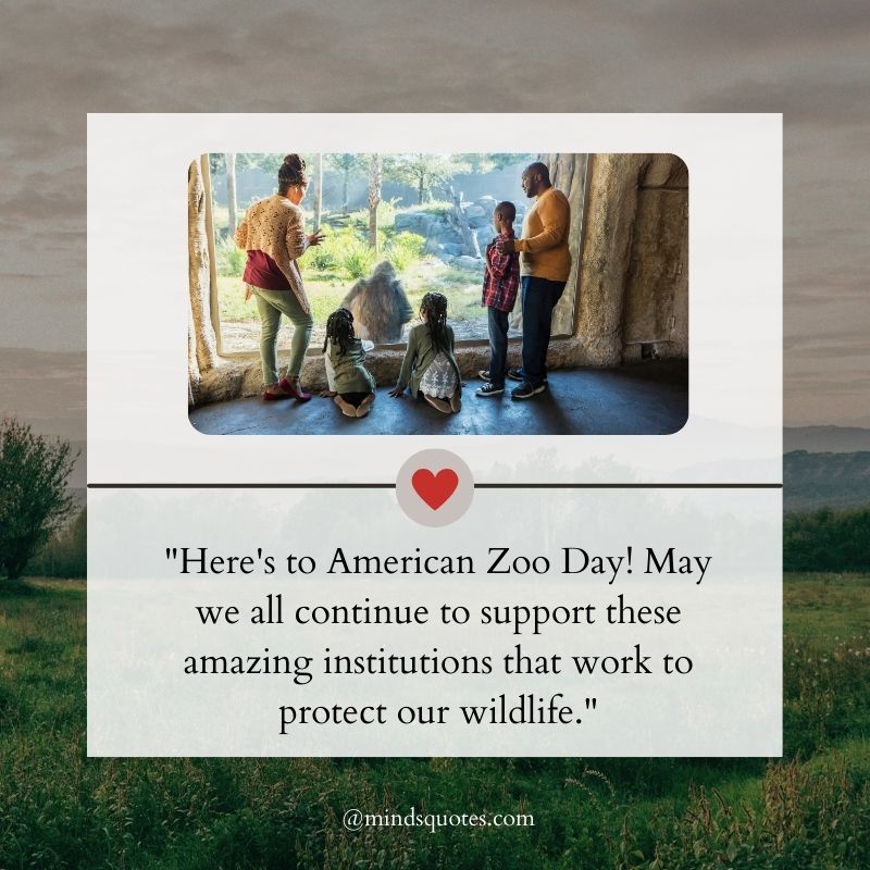 American Zoo Day Messages 