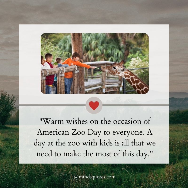 American Zoo Day Wishes