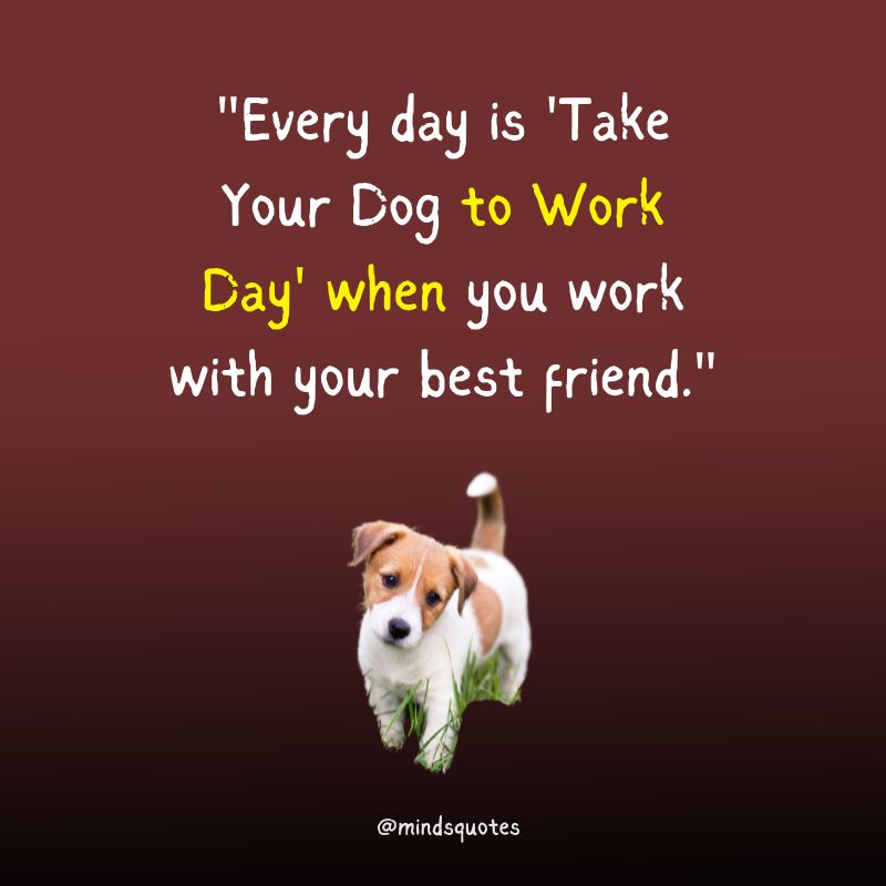 National Take Your Dog to Work Day Quotes