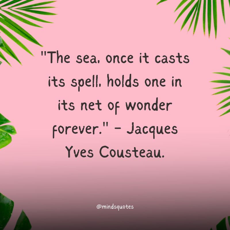 Tropical Beach Quotes