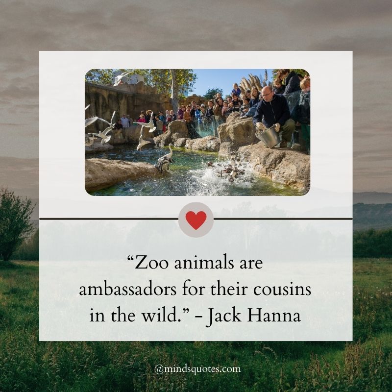 Zoo Quotes
