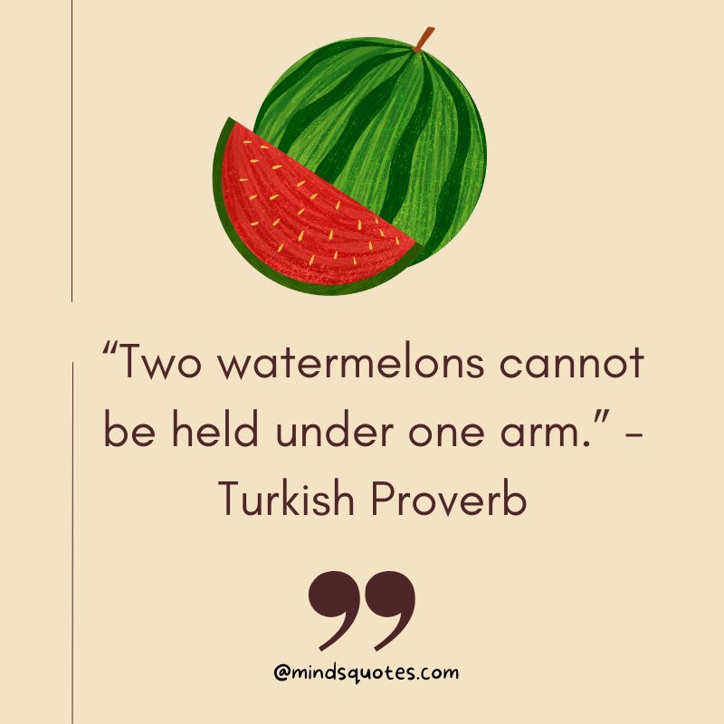 Funny Watermelon Quotes