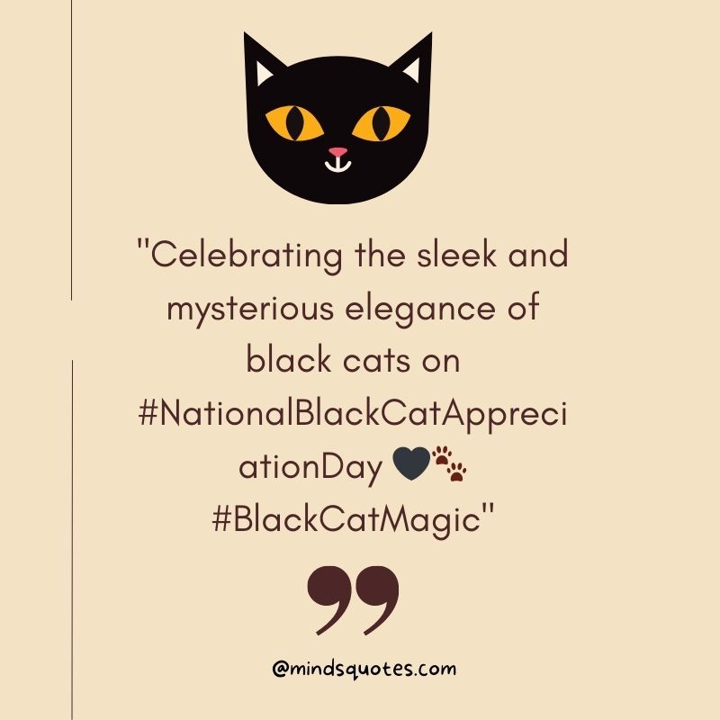 National Black Cat Appreciation Day Captions
