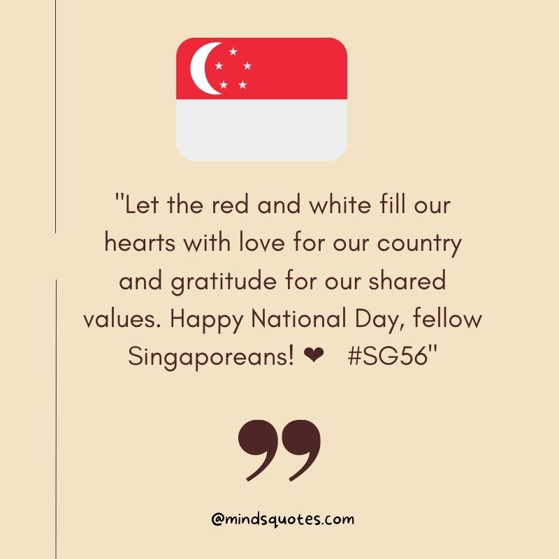 Singapore National Day Captions