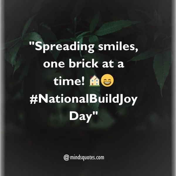 National Build Joy Day Captions