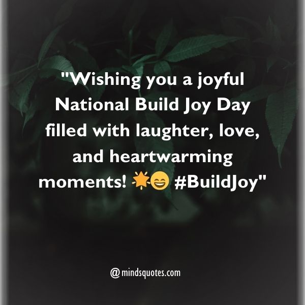 National Build Joy Day Wishes