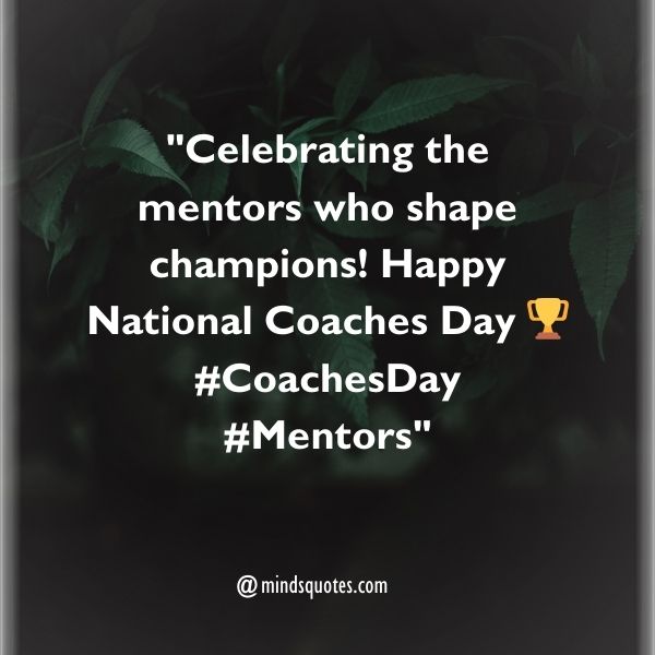 National Coaches Day Captions 