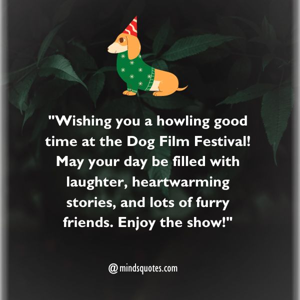 Dog Film Festival Wishes