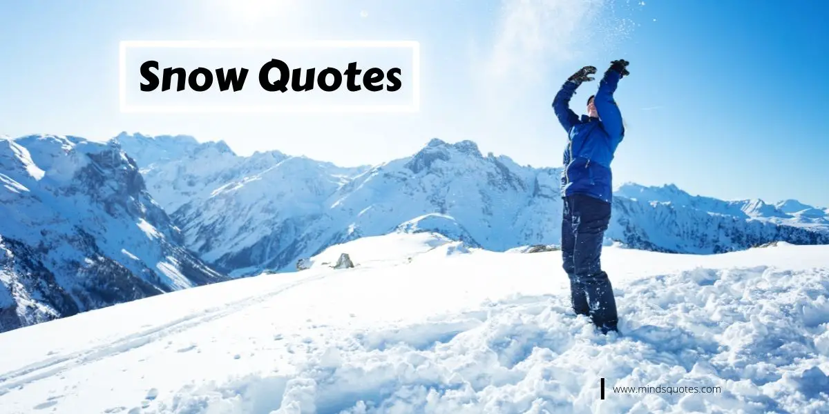 95+ BEST Beautiful Snow Quotes In English