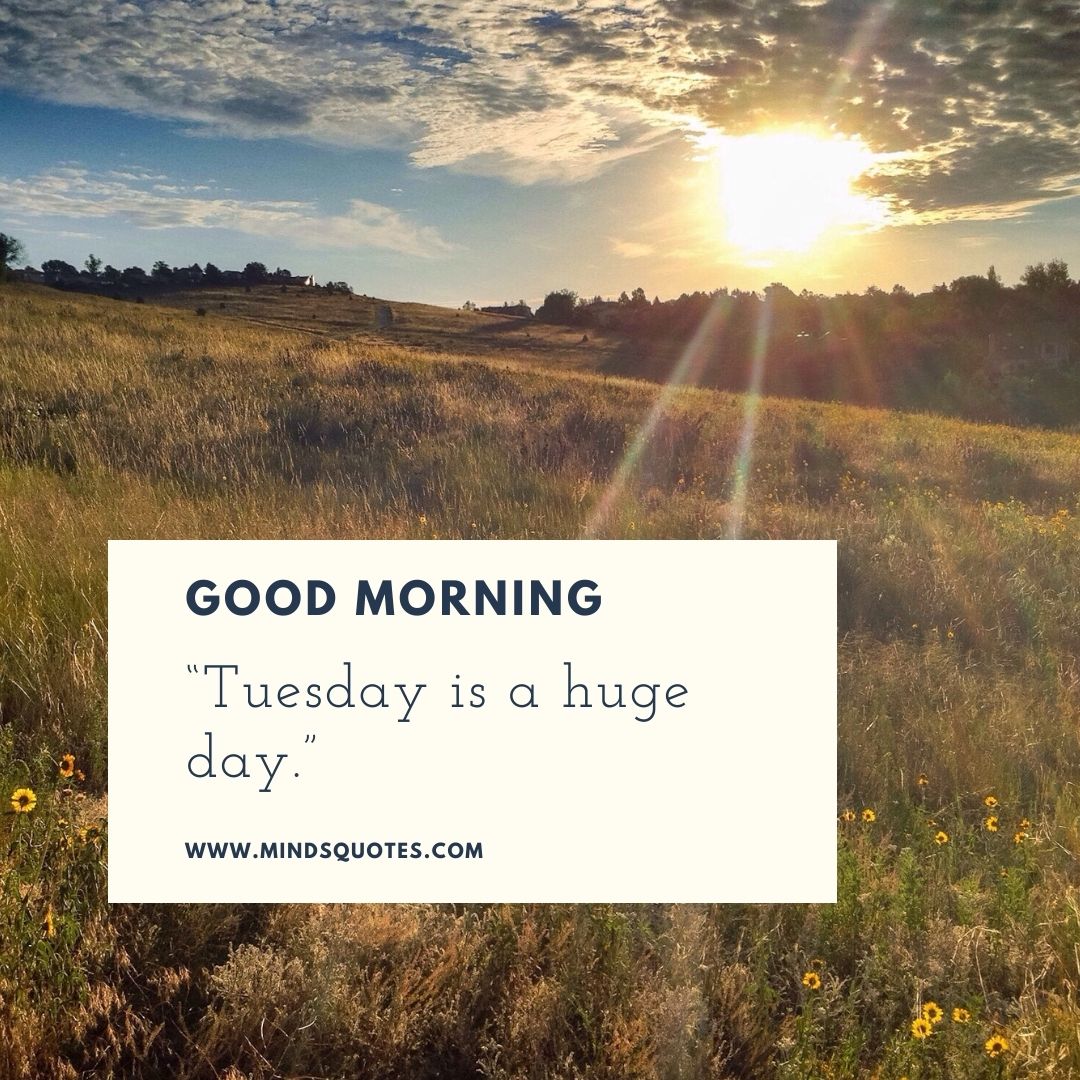 125 Best Good Morning Tuesday Quotes And Images