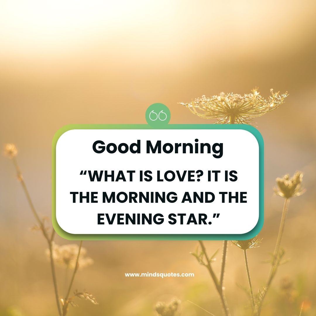 87-best-good-morning-images-with-positive-words-in-english