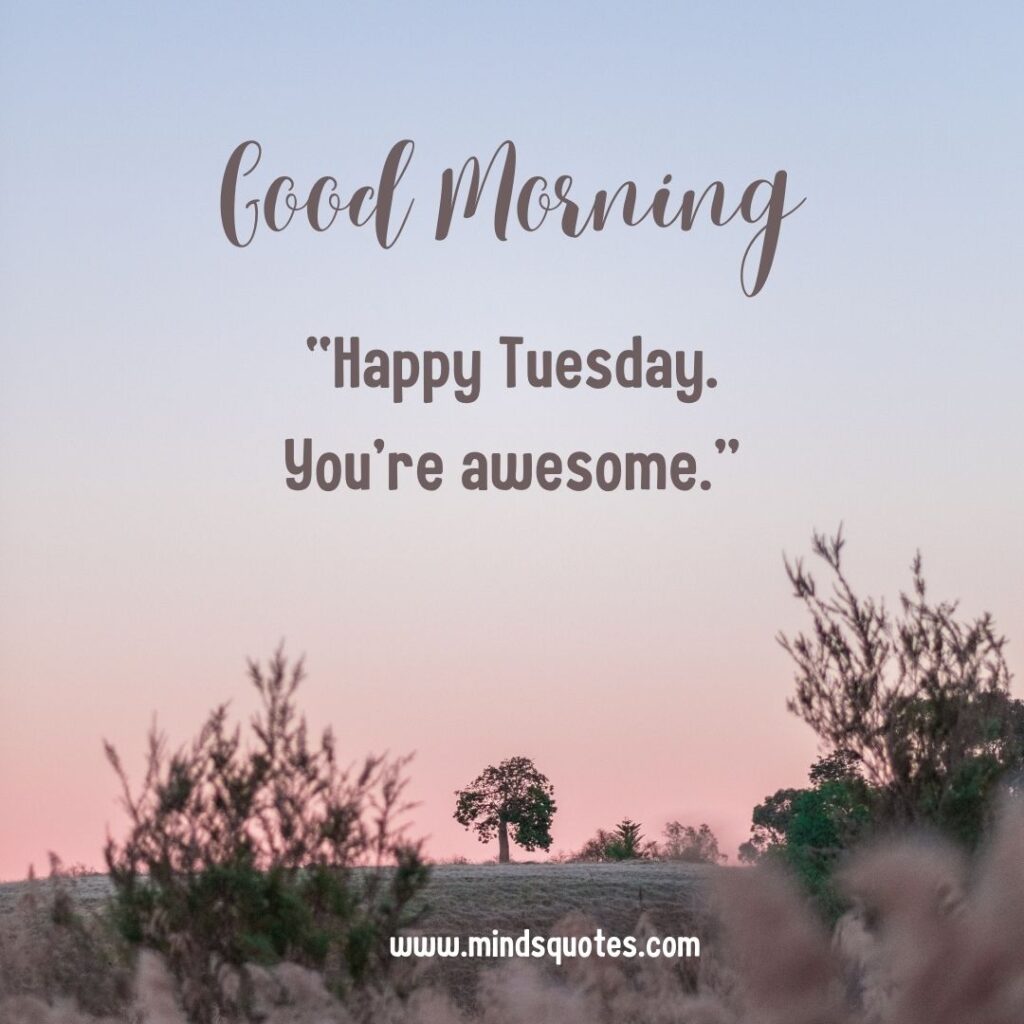 Good Morning Happy Tuesday Quotes