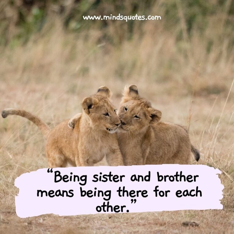 120 BEST Heart Touching Emotional Brother And Sister Quotes