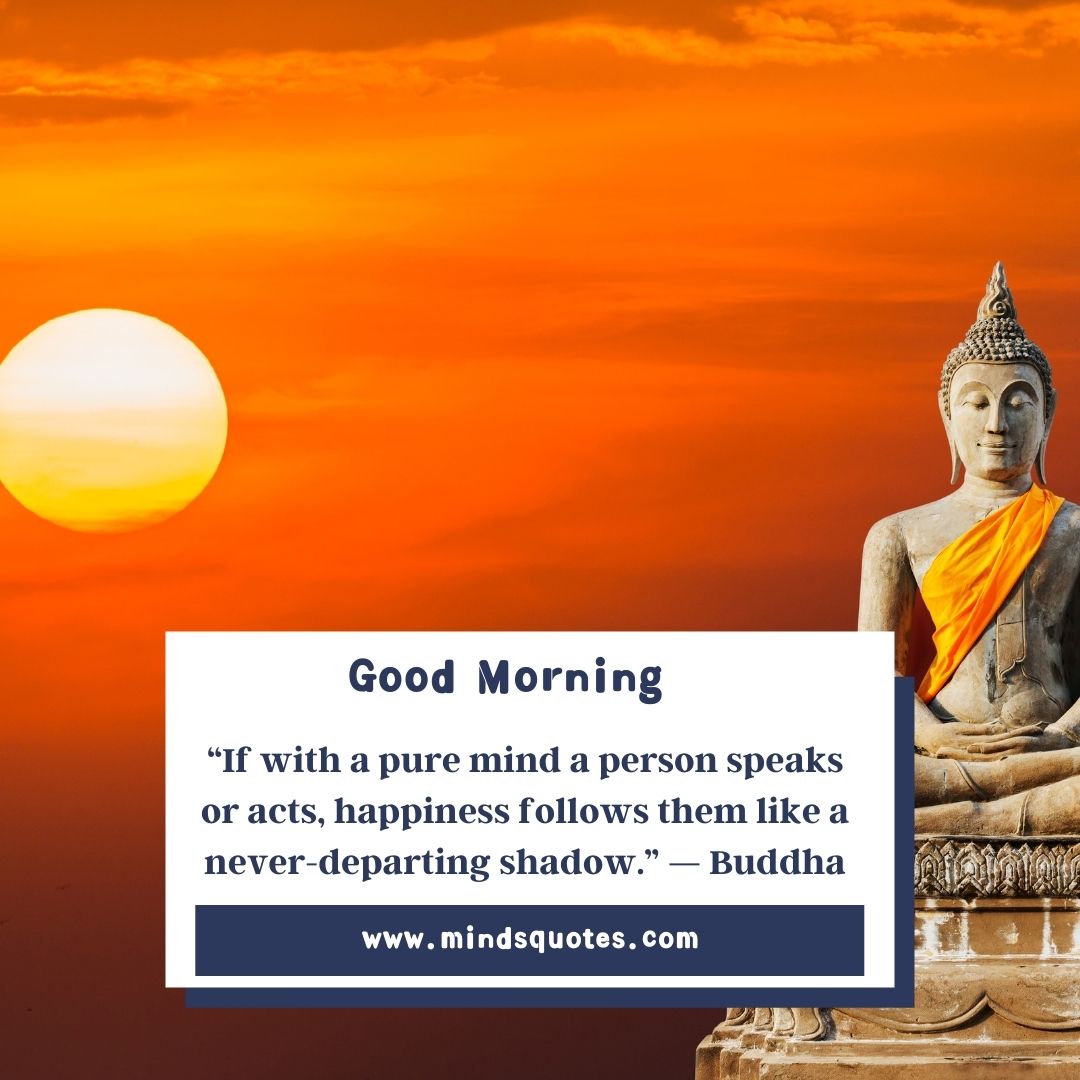 70 Best Good Morning Buddha Quotes To Bring You Peace