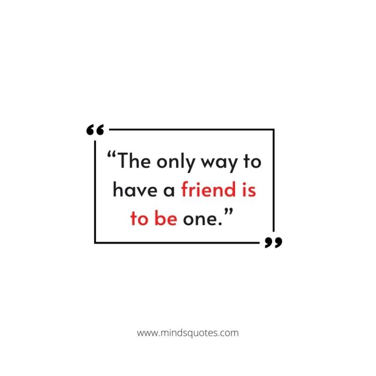 75-best-friend-quotes-in-english-to-show-your-appreciation