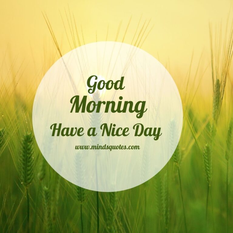 50-good-morning-have-a-nice-day-images-make-it-a-great-day