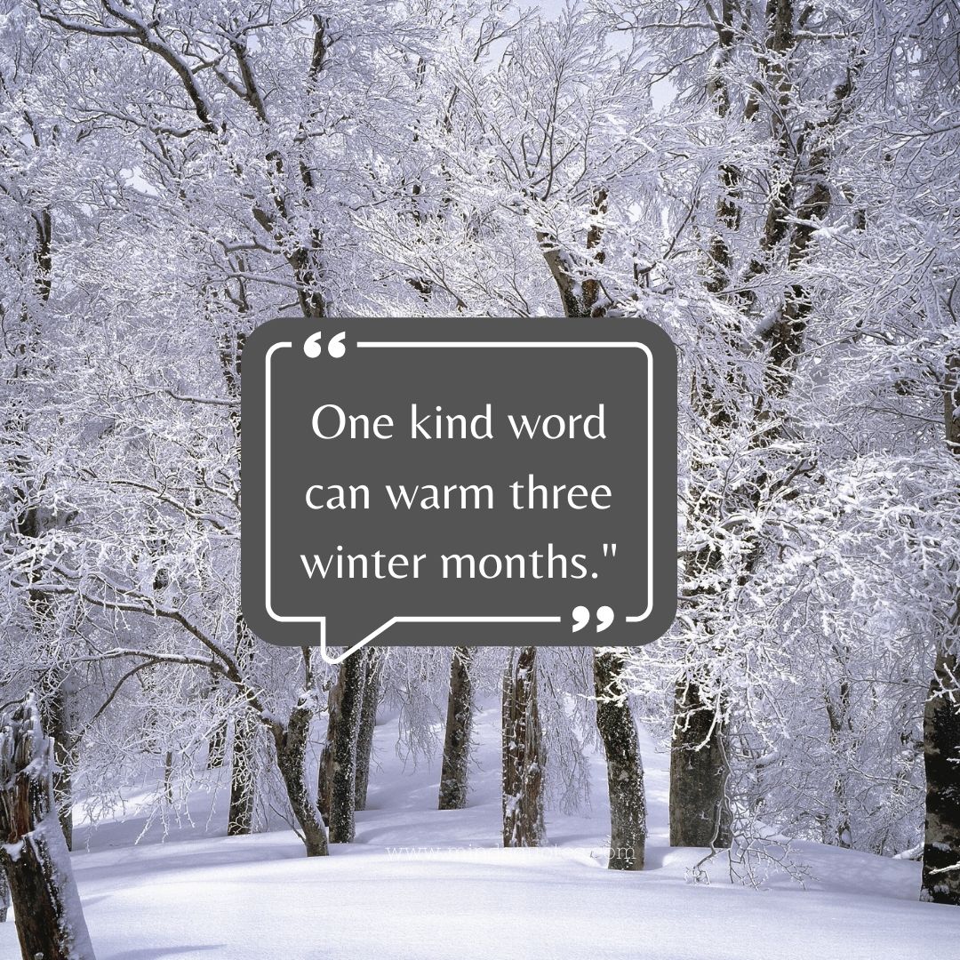 95 Best Snow Quotes To Make You Smile On A Cold Winter Day