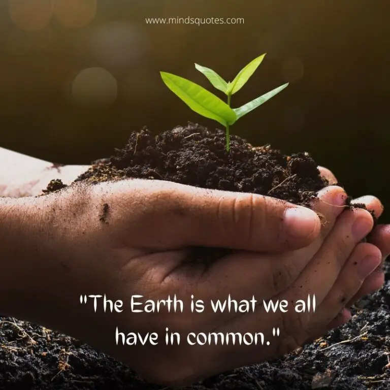 50+ BEST World Environment Day Quotes And Slogans [5 June]