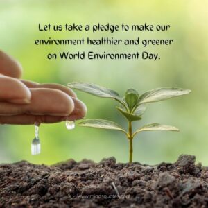 50+ BEST World Environment Day Quotes And Slogans [5 June]