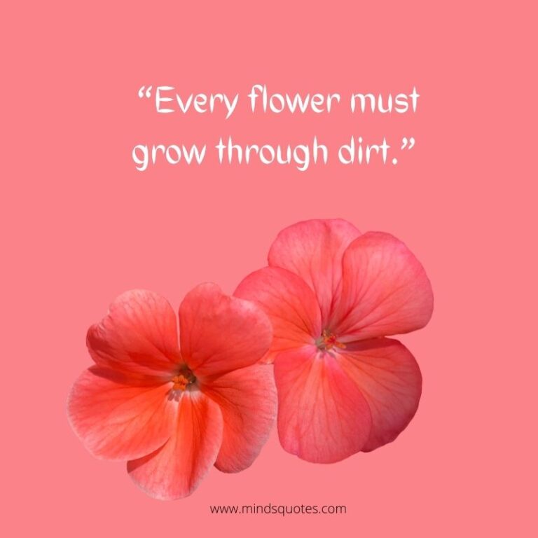 55+ BEST Flower Quotes For Love And Life & Peace