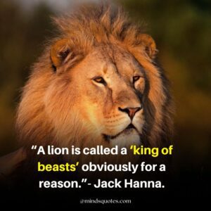 92+ BEST Warrior Lion Quotes On Attitude, Success & Savage