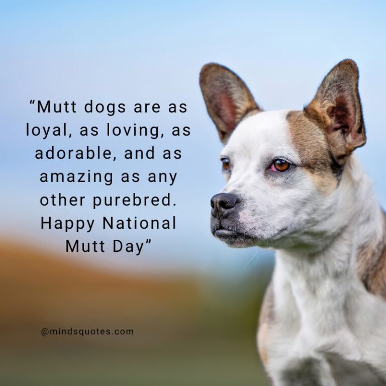 25+ BEST Happy National Mutt Day Quotes, Wishes & Messages