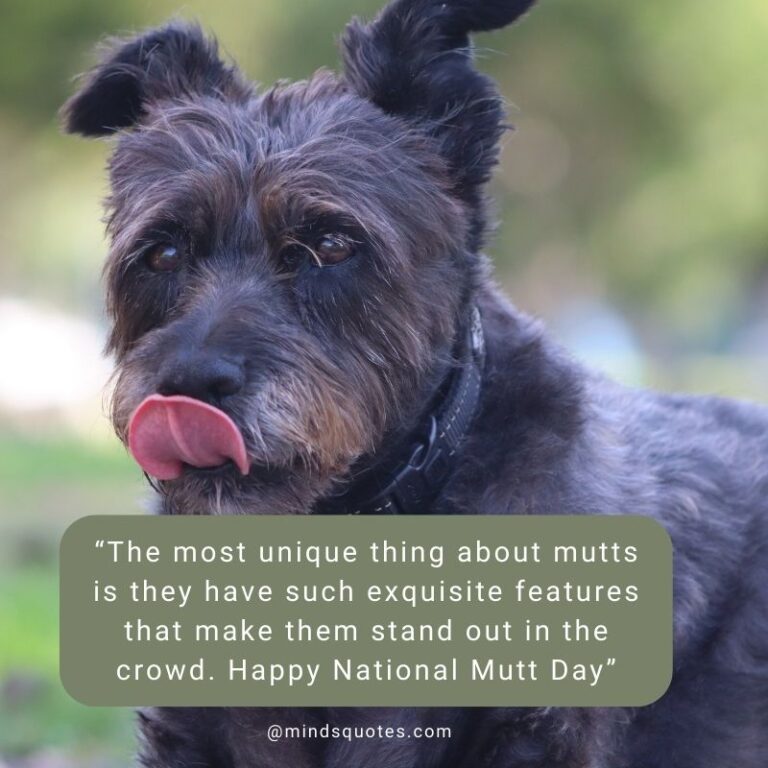 25+ BEST Happy National Mutt Day Quotes, Wishes & Messages