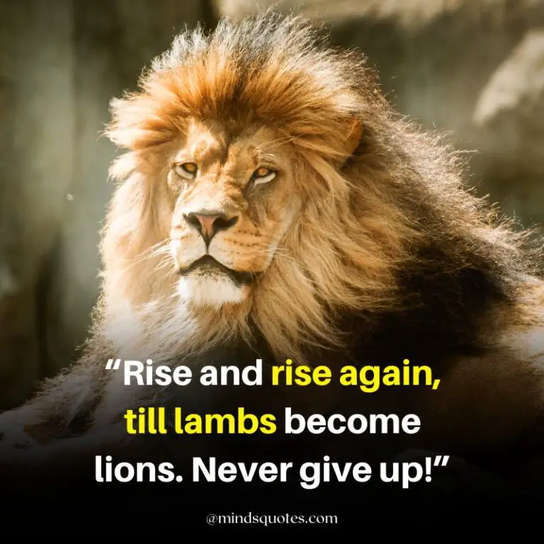 92+ BEST Warrior Lion Quotes On Attitude, Success & Savage