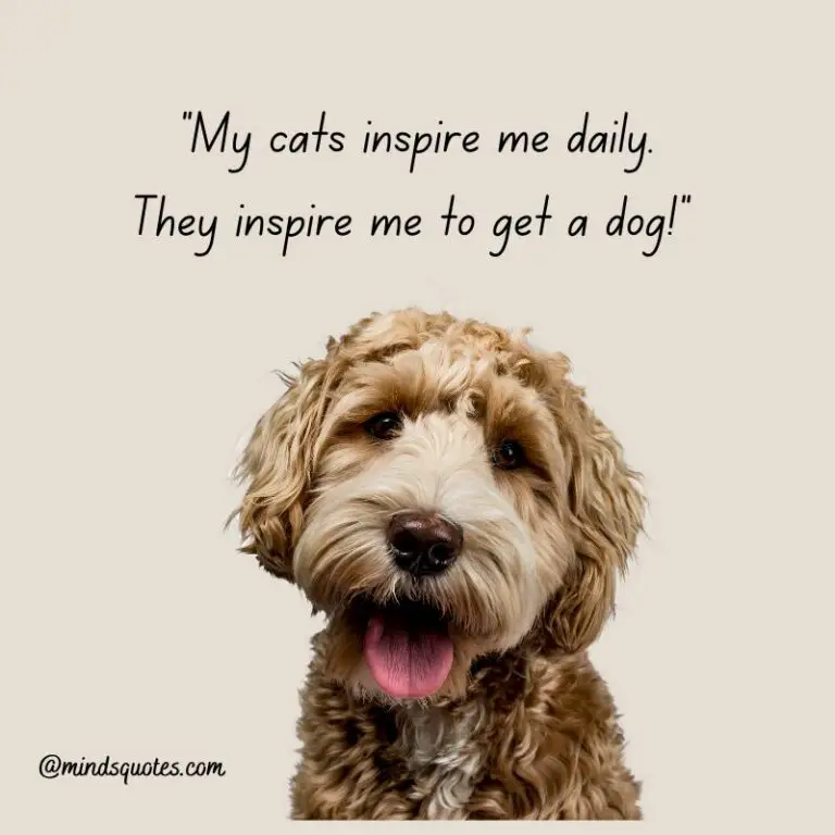 41+ BEST International Dog Day Quotes, Wishes & Messages