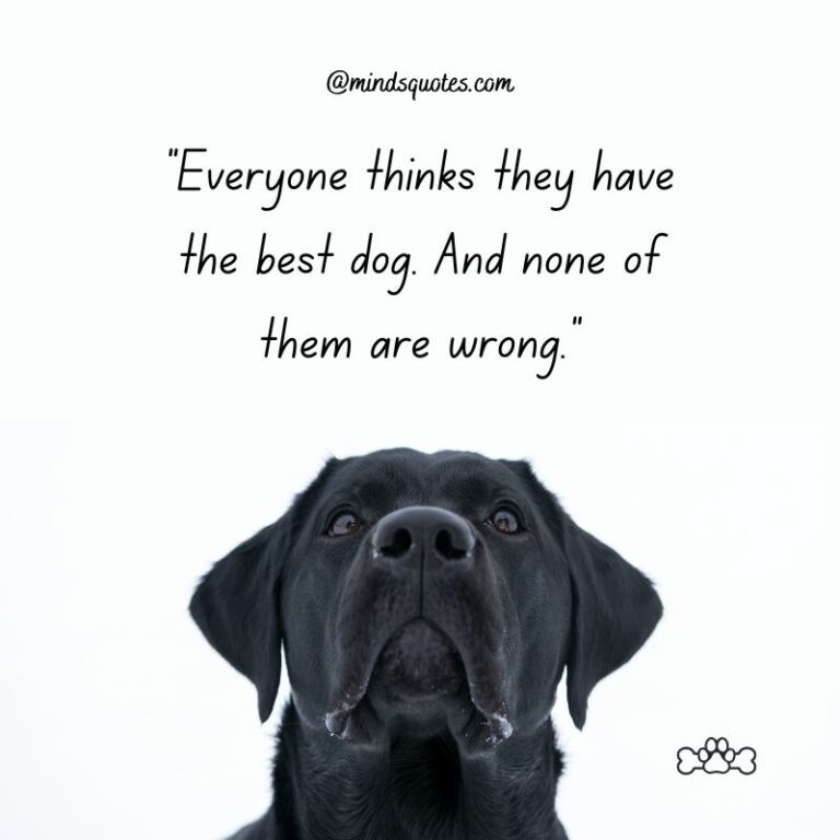 41+ BEST International Dog Day Quotes, Wishes & Messages