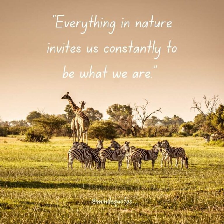 52 Popular National Wildlife Day Quotes, Wishes, Messages