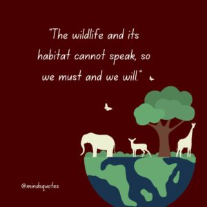 wildlife travel quotes