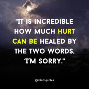 115+ BEST Apology Quotes That Will Inspire You To Say Sorry