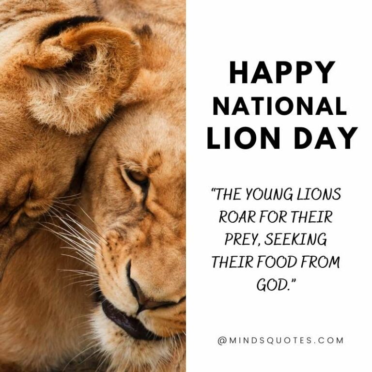 50 Famous National Lion Day Quotes, Wishes & Messages