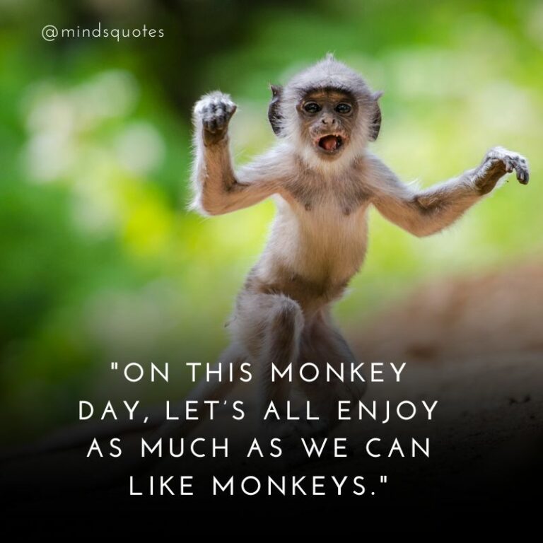 38 Famous Monkey Day Quotes, Messages & Greetings