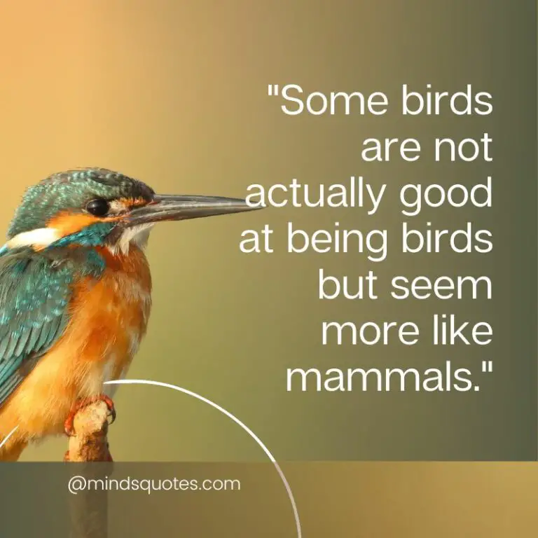 50 National Bird Day Quotes, Wishes & Messages, Slogans