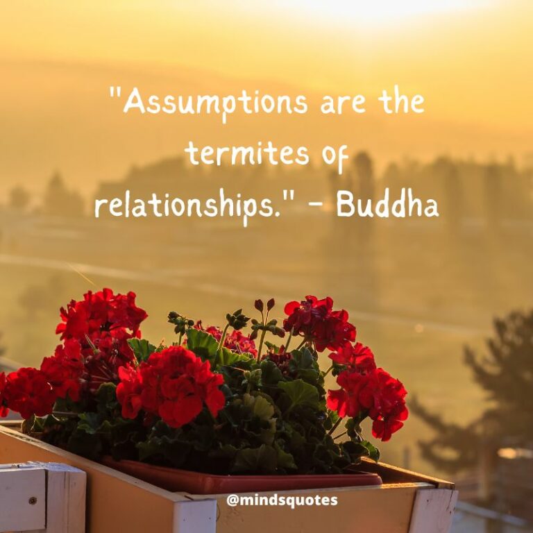 70 Best Good Morning Buddha Quotes To Bring You Peace