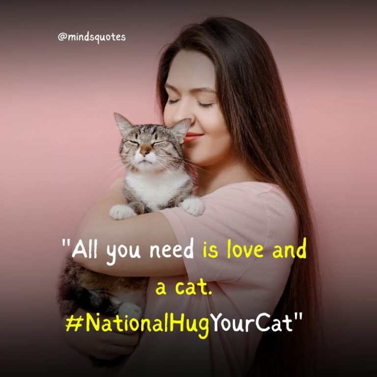 45 National Hug Your Cat Day Quotes, Wishes & Messages, Captions