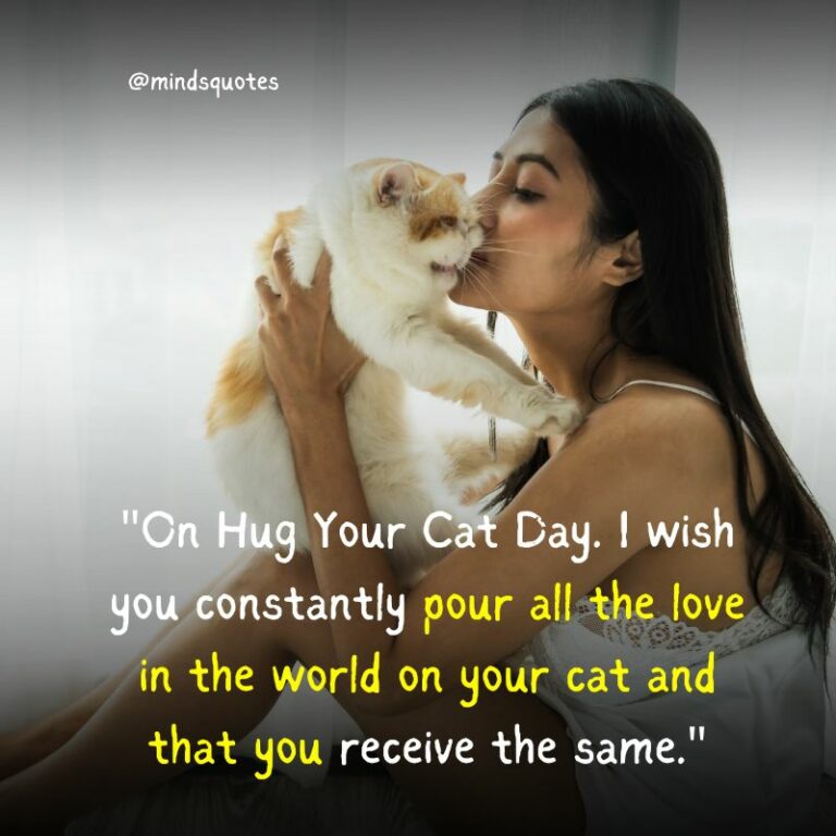 45 National Hug Your Cat Day Quotes, Wishes & Messages, Captions