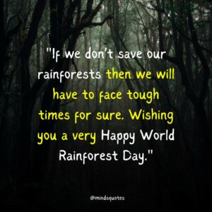 World Rainforest Day Quotes, Wishes & Messages, Slogans (June 22)