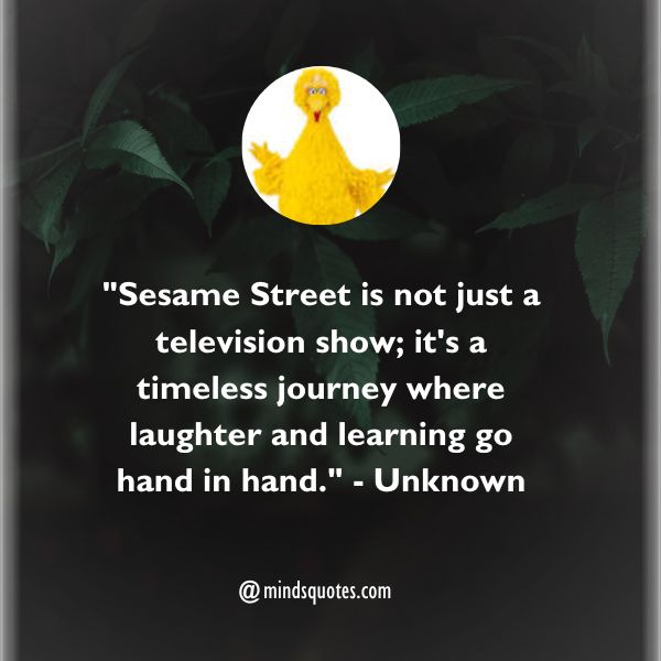 50 Best Sesame Street Day Quotes, Wishes, Messages & Captions